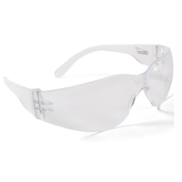 EVAMED SCHUTZBRILLE